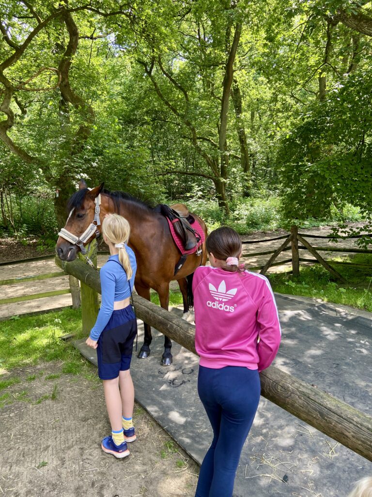 Reiten im Ruhrgebiet